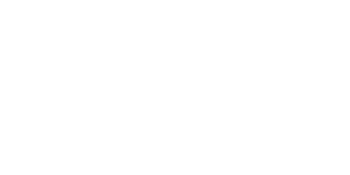 1 Honda in stock