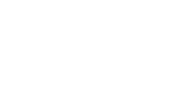 1 MINI in stock