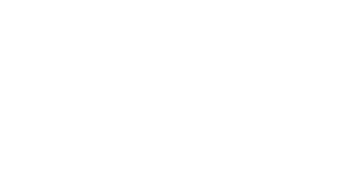 2 Skoda in stock